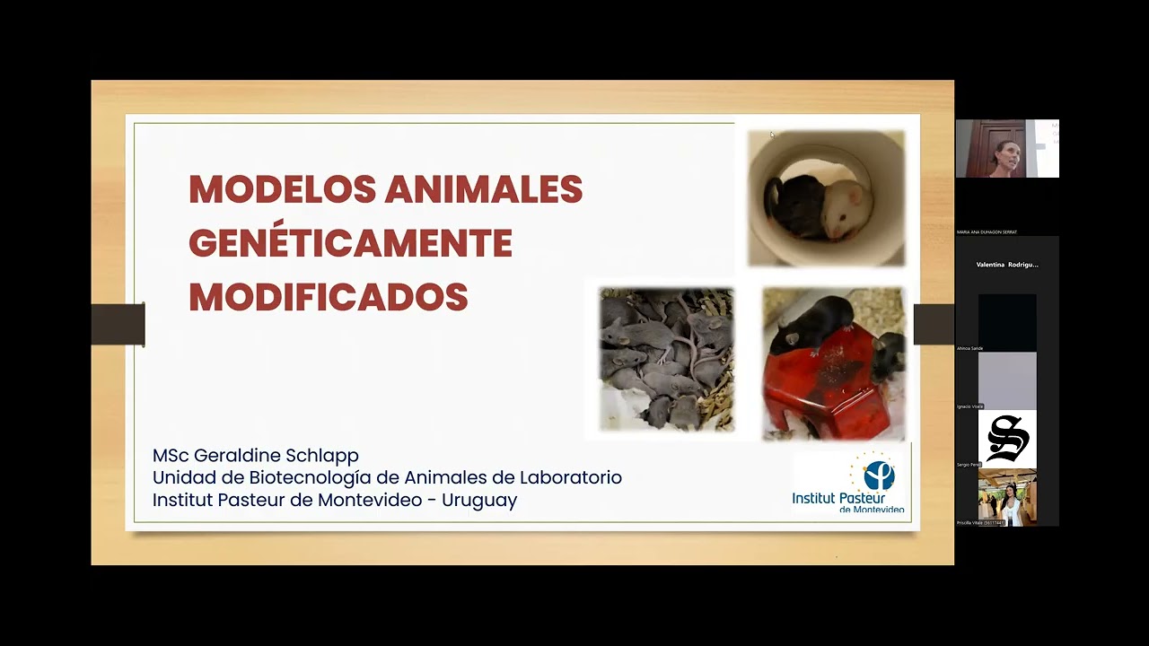 Conferencia Animales Transgenicos 13-03-2026_Parte 1
