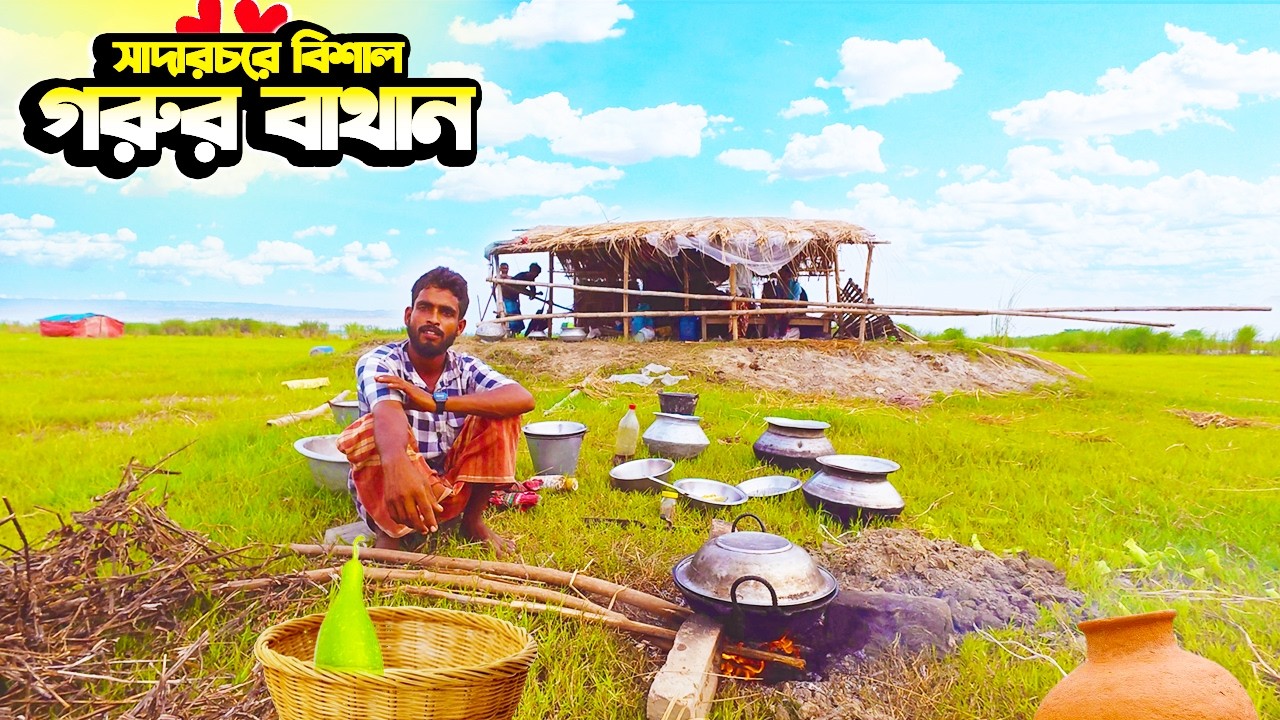 পাবনার সাদারচরে বিশাল গরুর বাথান | Lifestyle in Sadarchar Char | River Island Life in Bangladesh