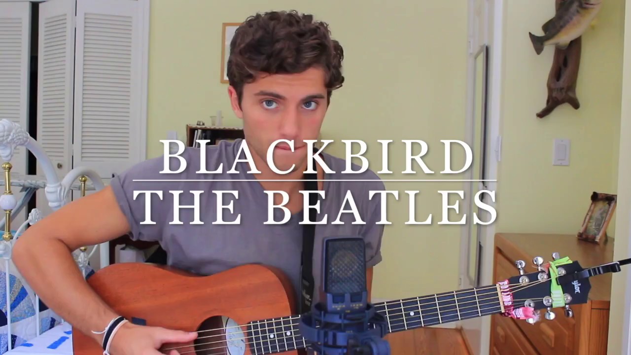 Blackbird || Covered by Mark D
