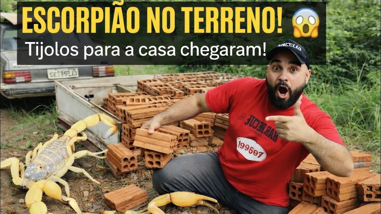 	“Construindo do Zero: Como Começamos o Alicerce com Tijolos Antigos”