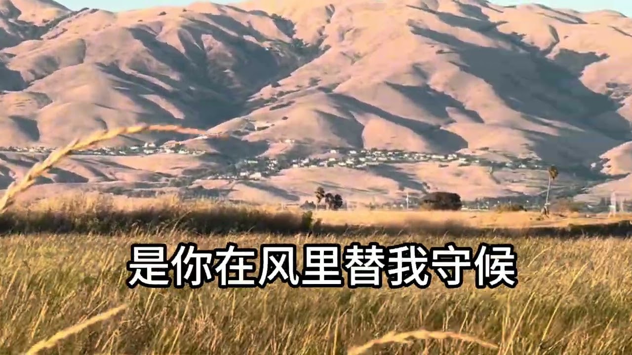 你是暗夜中的光