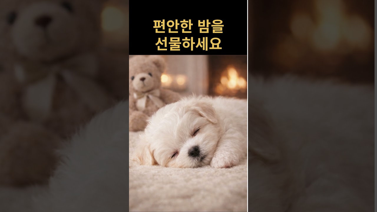 강아지 수면음악 🐾｜잠들기 전 듣는 피아노｜Calming Dog Music 