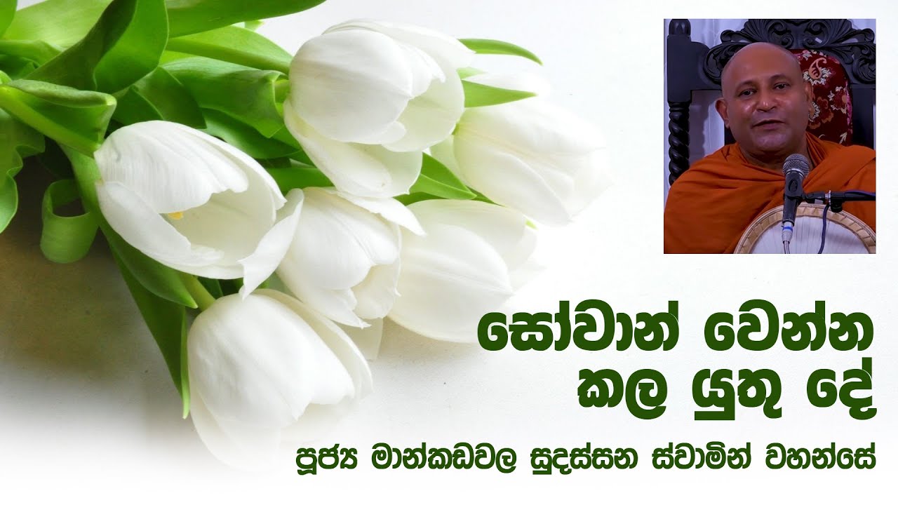 සෝවාන් වෙන්න කල යුතු දේ | 2022 02 23 | Ven Mankadawala Sudassana Thero