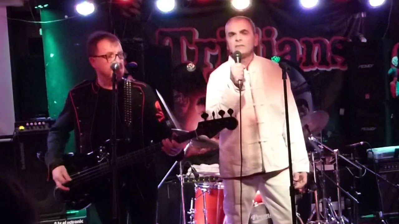 Punilux Trillians 40th anniversary bash