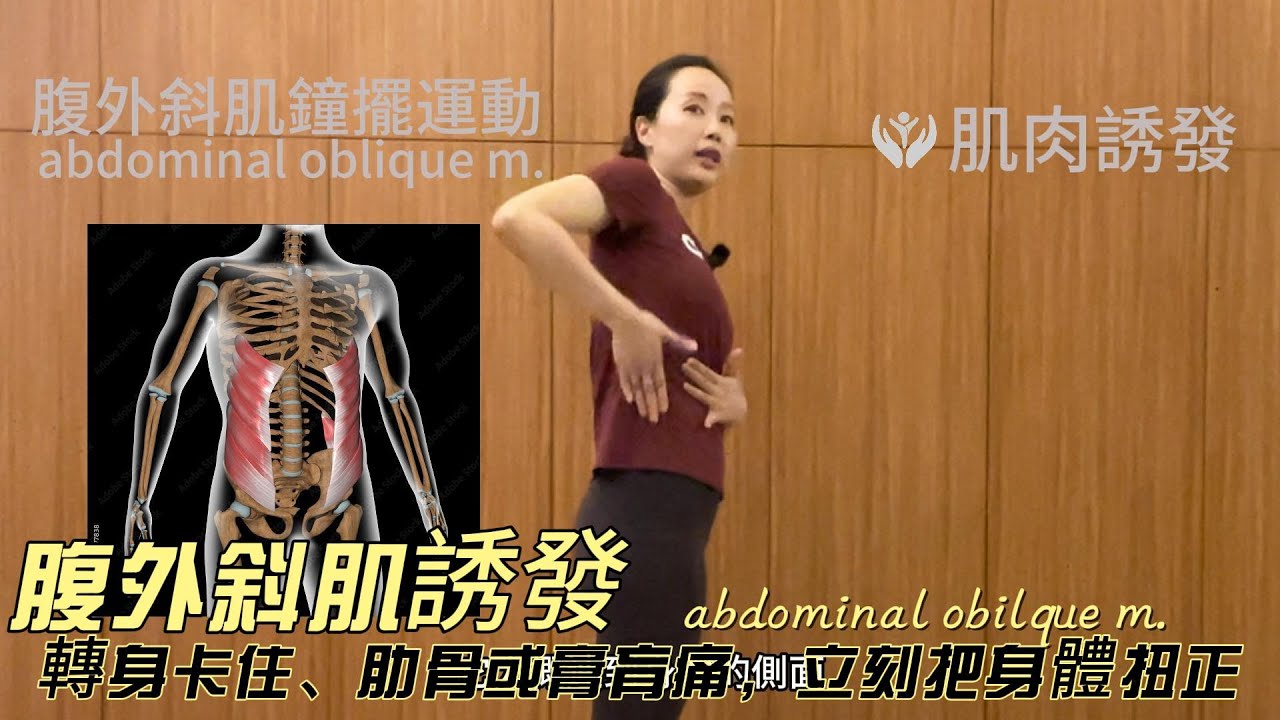 轉身轉不過去，覺得肋骨疼痛卡住，膏肓疼痛，可以利用特殊肌肉誘發手法：「腹外斜肌誘發 Abdominal external oblique muscle」來恢復肌肉彈性。