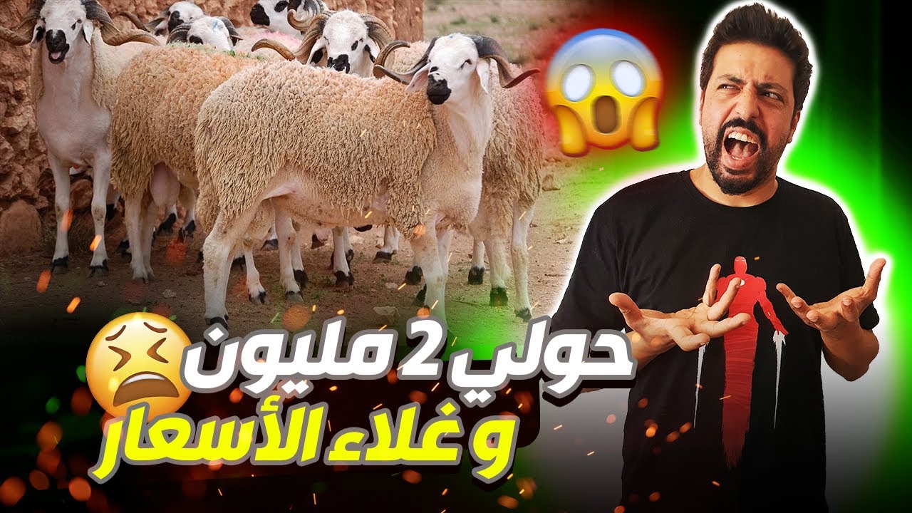 Black Moussiba || 😱😓 حولي زوج مليون وغلاء الاسعار