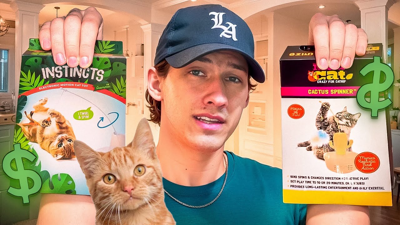 CHEAP Vs. EXPENSIVE CAT TOYS