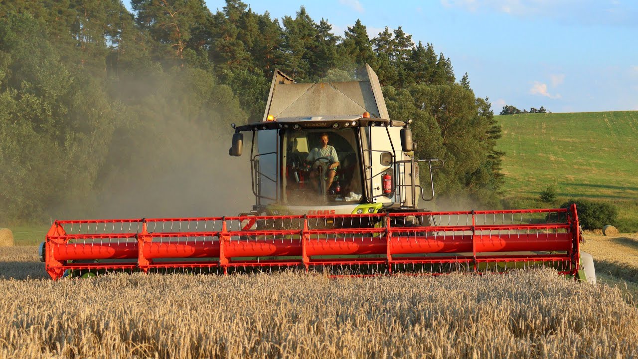 Žně 2023 🌾😍 | Claas lexion 6700 \ Claas lexion 650