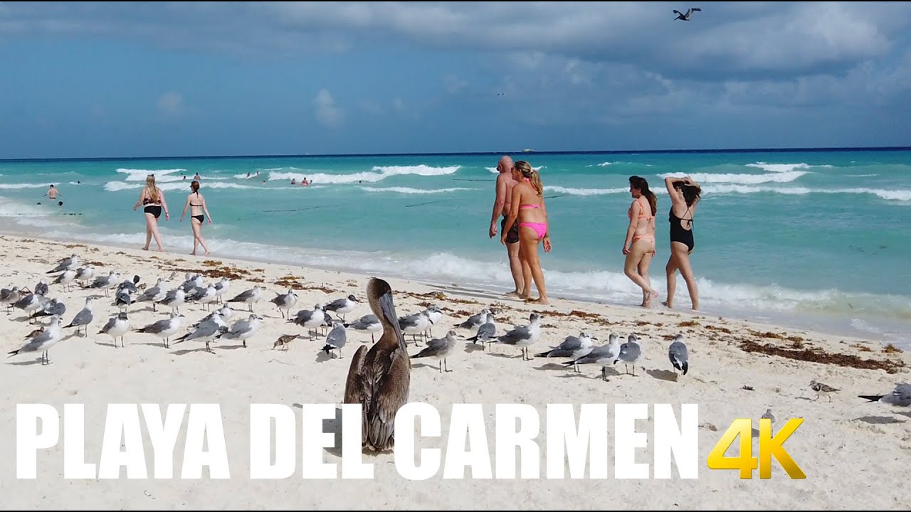 Playa del Carmen,  Playacar Beach walking tour 4k 60fps