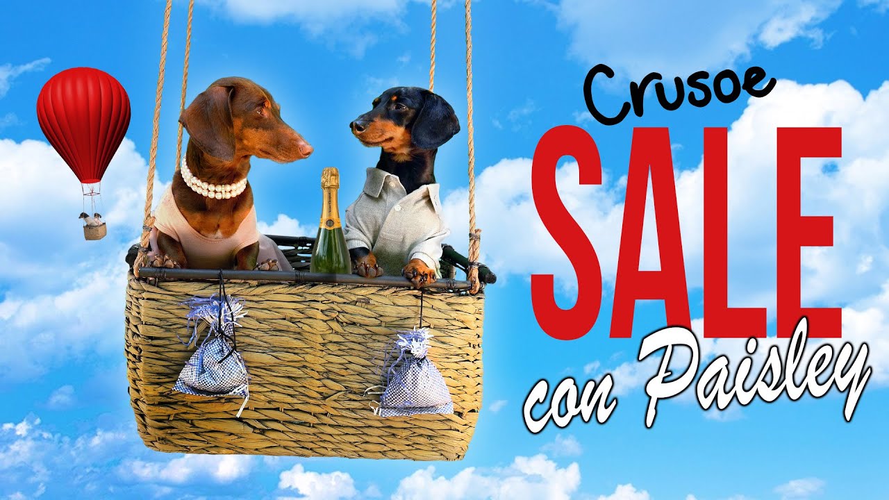 Mi perro tiene una cita romántica .. ¡ Y nada sale como lo planeó! 🫣