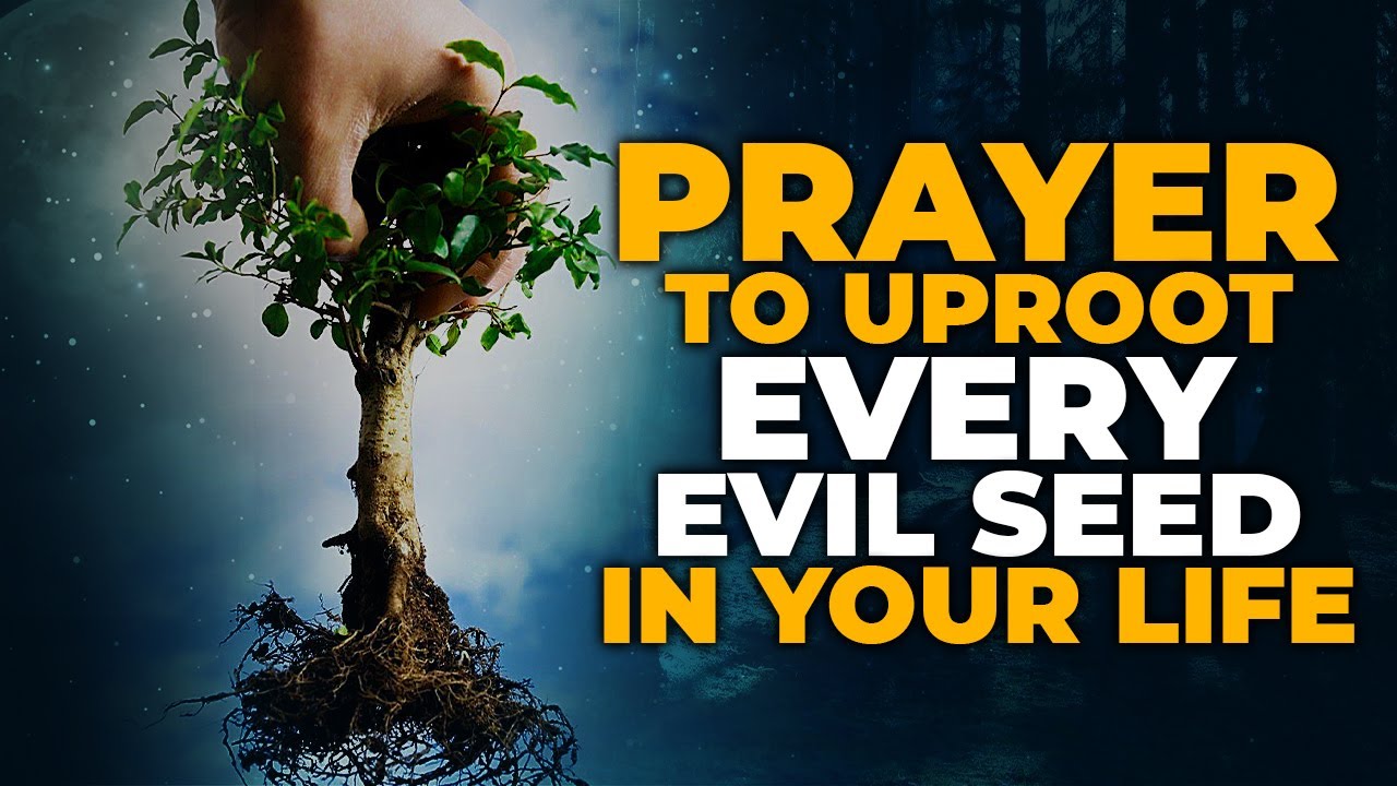 Every Evil Seed Must Be Uprooted In The Name Of Jesus