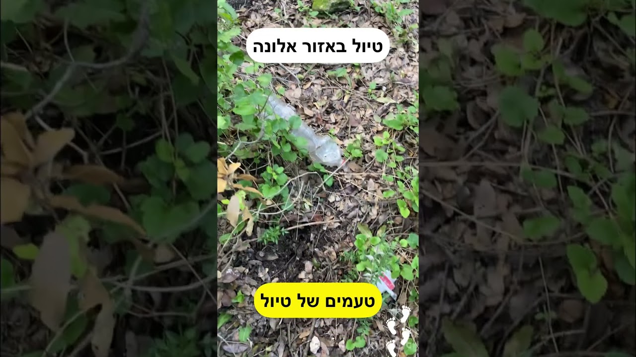 טיול באזור אלונה 