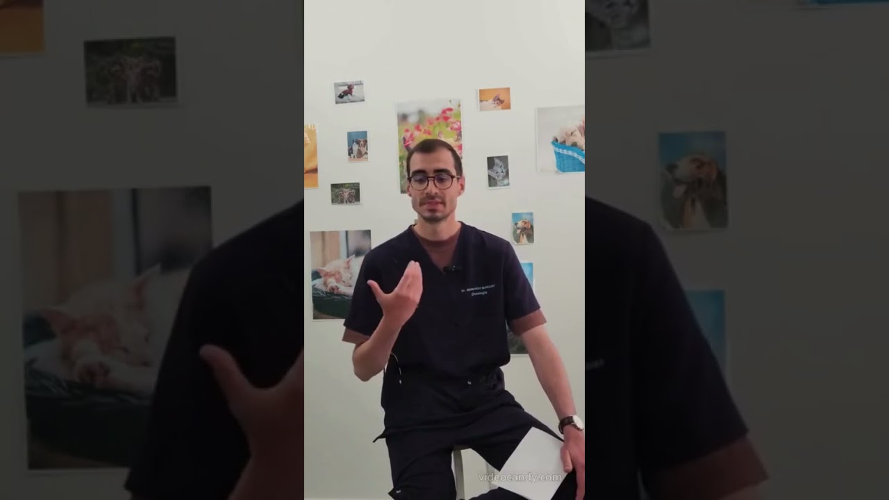 Vid&eacute;o de pr&eacute;sentation de Gr&eacute;goire Bernardo Marques