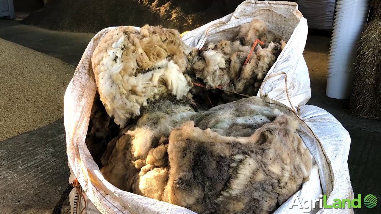 AgriLand speaks to Peter Glynn about his business of turning wool into organic fertiliser