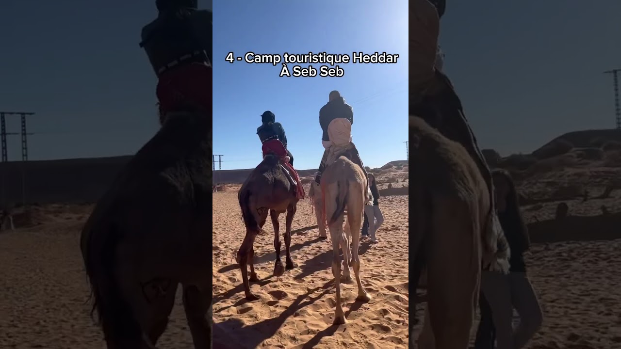 7 choses &agrave; faire &agrave; Gharda&iuml;a 🇩🇿