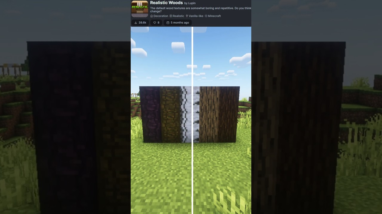 Best Minecraft Resource Packs (1.21)