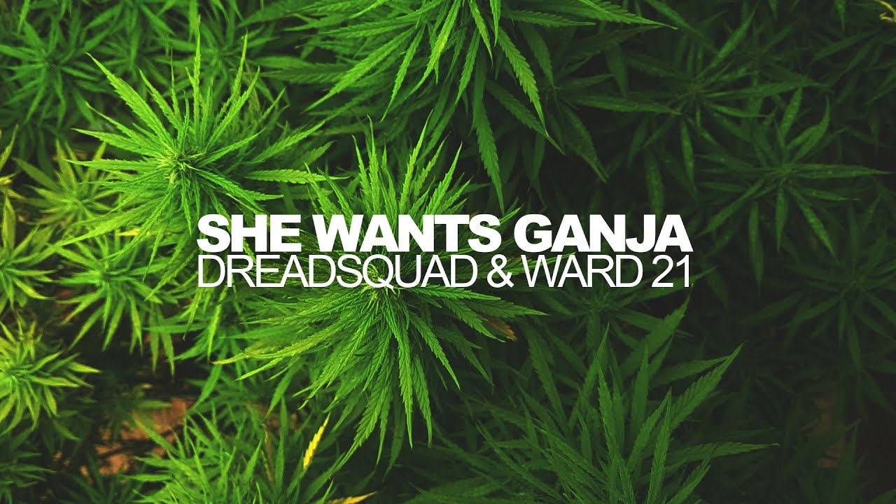 Dreadsquad feat. Ward 21 (Kunley Da Kulprit) - She Wants Ganja (official video)