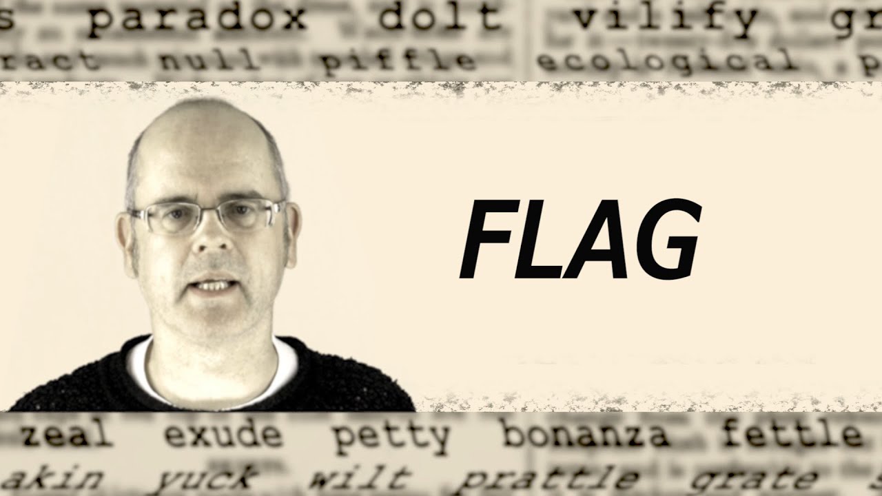 What does FLAG mean? English word definition