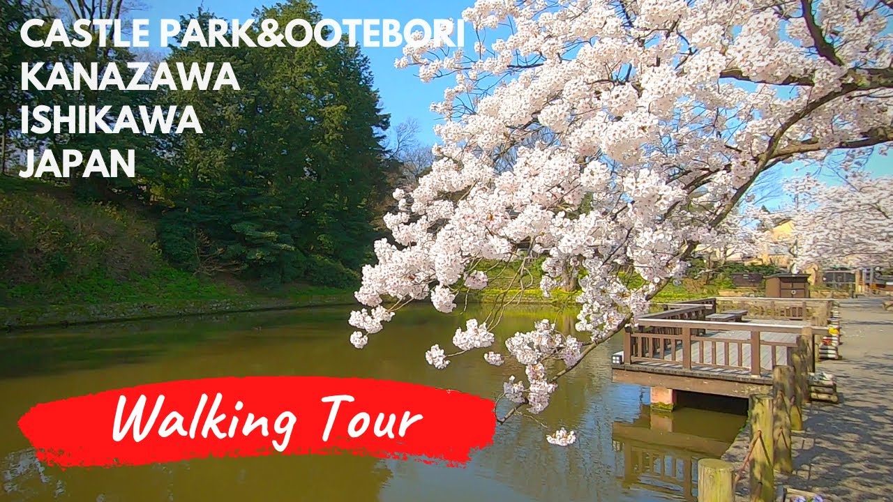 Japan Walking Tours | Kanazawa Castle Park & Ootebori | Cherry blossom (Sakura) season