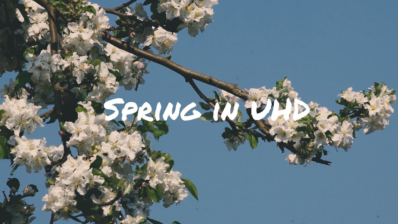 Spring in 4k - Lars Kliewer