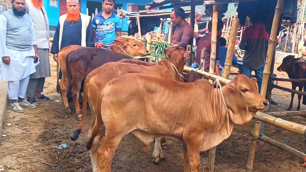 @আজ ২৪ জানুয়ারি