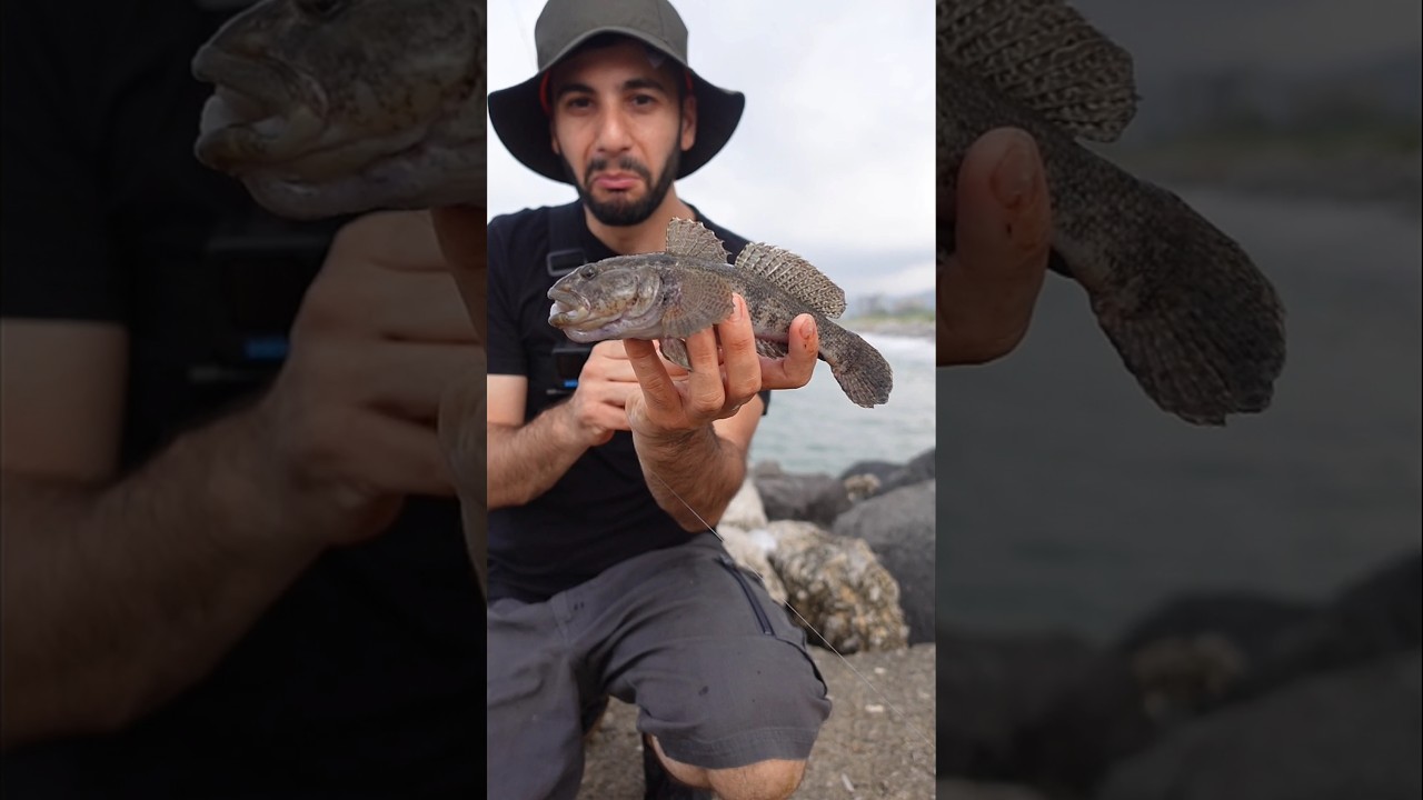 Ghiozzo OVER SIZE a CANNA FISSA EXTREME (DRAGOBIUS) 