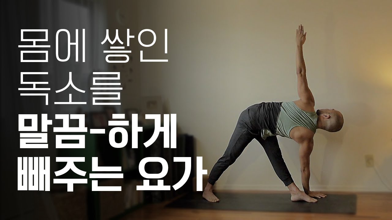 체형교정과 독소배출을 위한 전신 디톡스 요가 | 30분 요가 | 요가소년 352