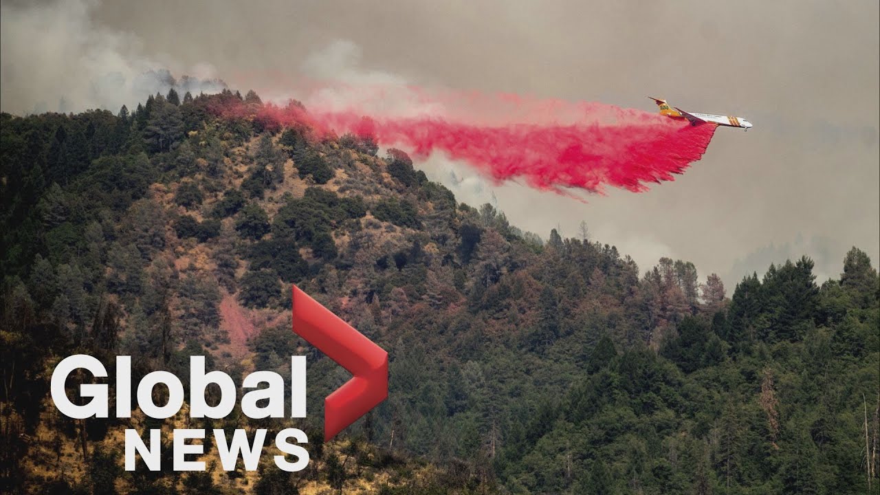Wildfire season: BC’s heartbreaking search for survivors in Lytton; California’s year-round battle