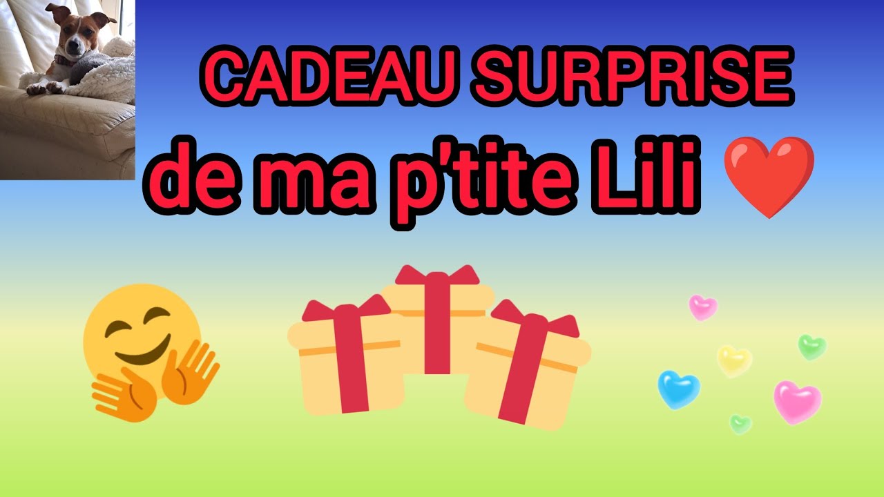 Cadeau surprise de Noël ❤️💙❤️ @lili62219 #amitié #plaisir 