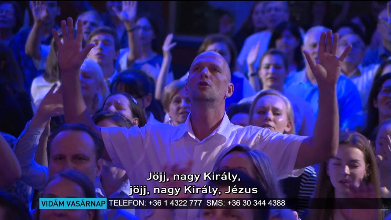 Élővíz forrás