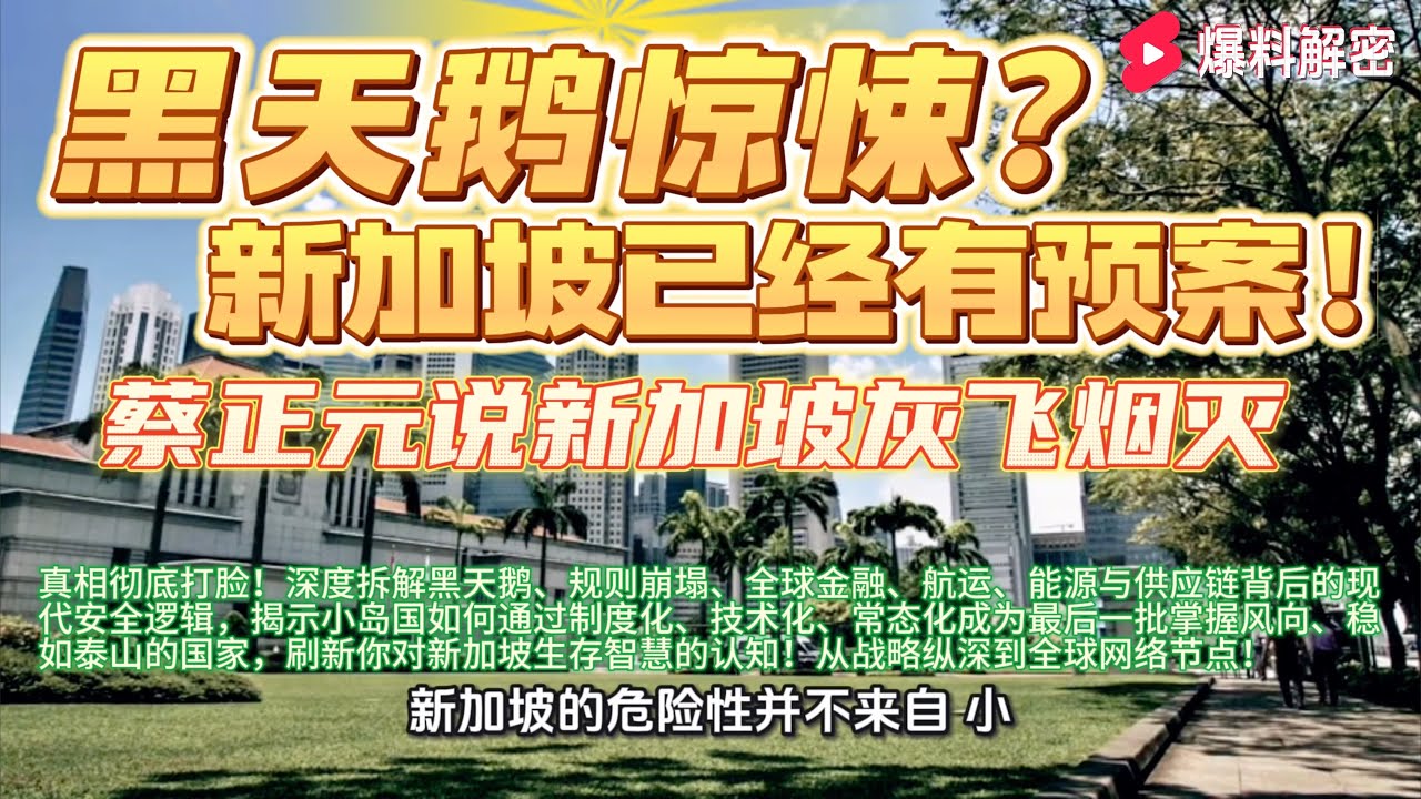 【完整版】蔡正元说新加坡比台湾、日本、以色列更危险？真相彻底打脸！深度拆解黑天鹅、规则崩塌、全球金融、航运、能源与供应链背后的现代安全逻辑，揭示小岛国如何通过制度化、技术化、常态化成为最后一批掌握风向