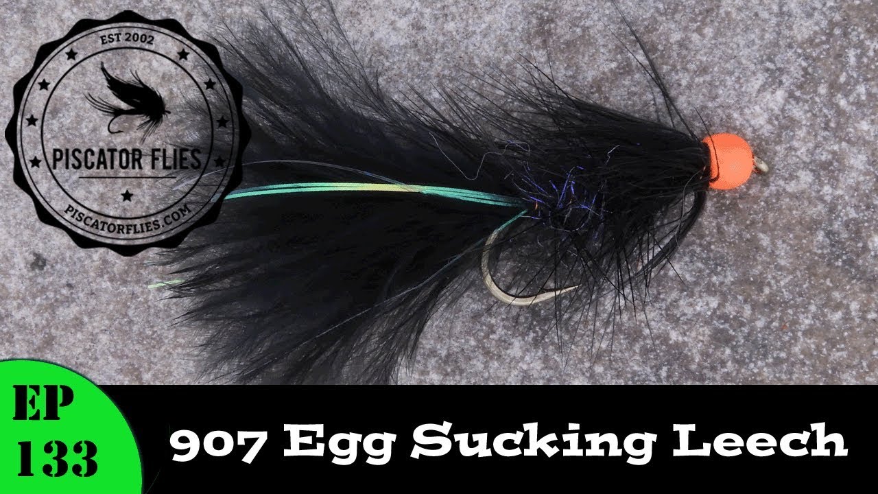907 Egg Sucking Leech Fly Tying Pattern for Trout and Steelhead Fishing - Ep133 PF #PiscatorFlies
