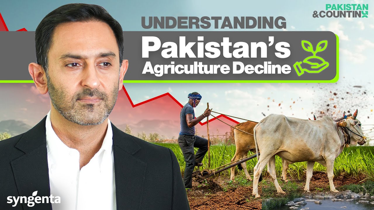 Pakistan’s Agriculture: Why Is Productivity So Low? | EP 2 | Junaid Iqbal | @syngenta