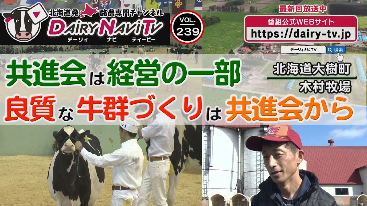 デーリィナビTV #239 『共進会は経営の一部　良質な牛群づくりは共進会から』北海道大樹町　木村牧場