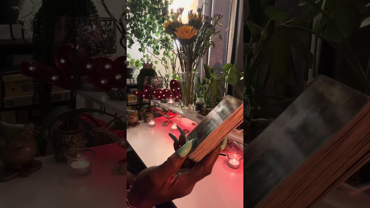 They Mad 😡 At You Bc They Love You & Can’t Have You ‼️AND ITS ALL YOUR FAULT 😂