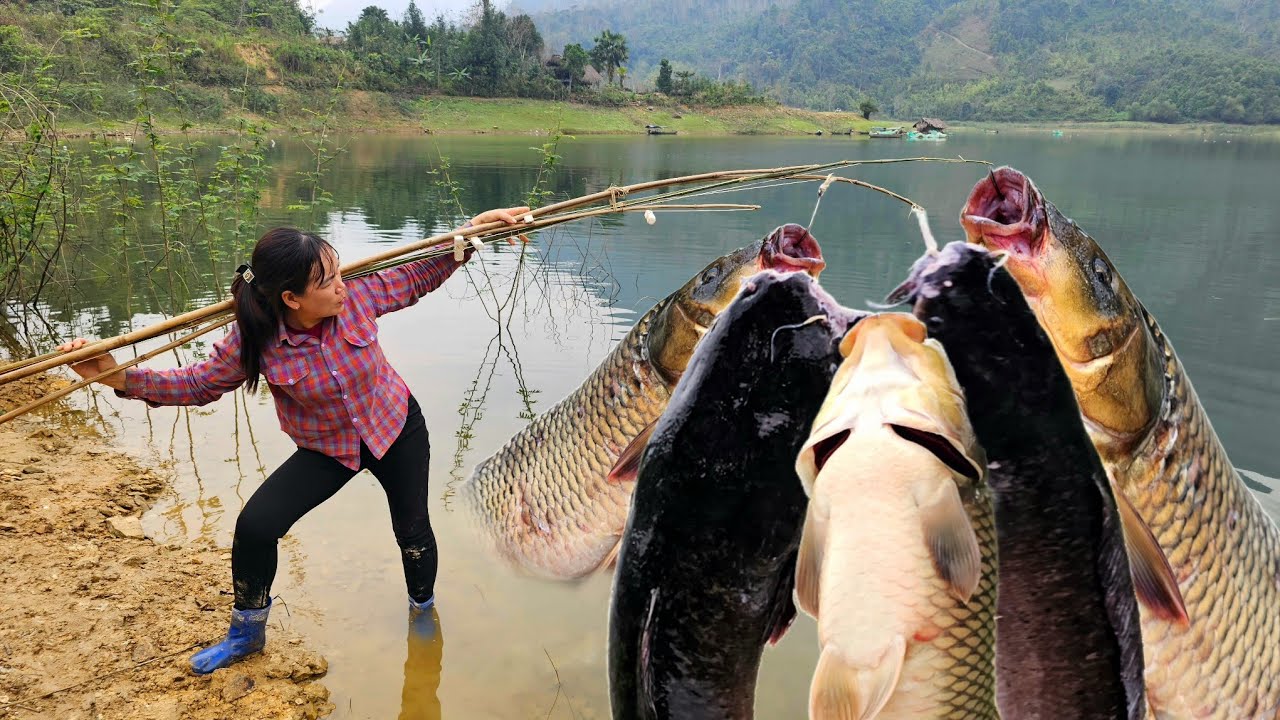 Traditional fishing technique - The girl caught a large school of carp and took them to sell.