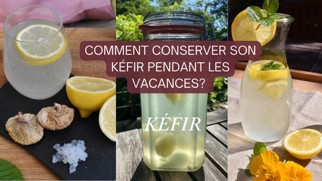 🫧 KÉFIR EN VACANCES : Comment conserver ses grains ? Frigo, congélateur, ou transmission ?