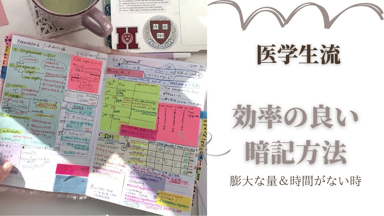 医学生『膨大な量＆時間がない』時ってノートに書いた方がいいの？　感染症 infectious diseases を例に、超効率的な私流の暗記方法💉