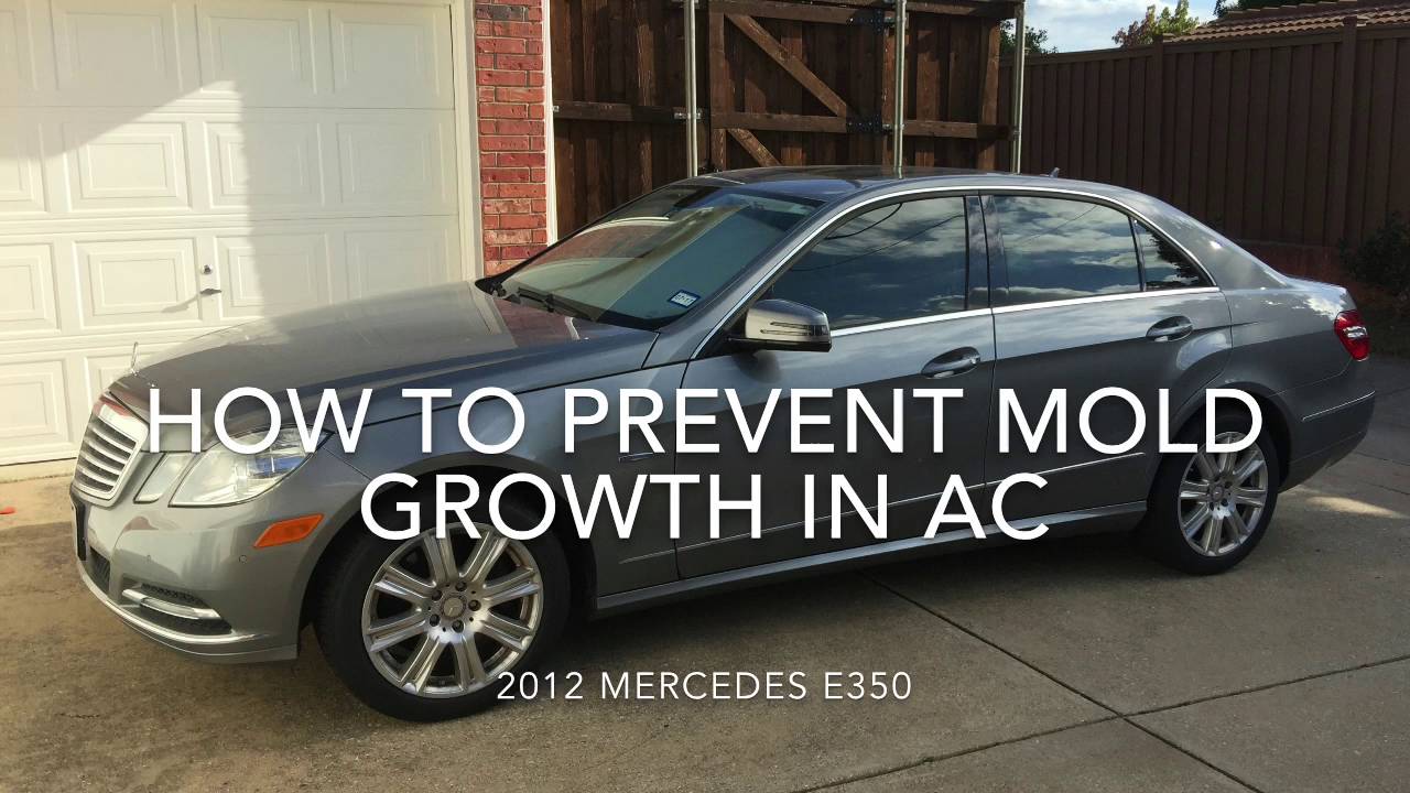 How To Prevent Mold Growth In Your Car's AC