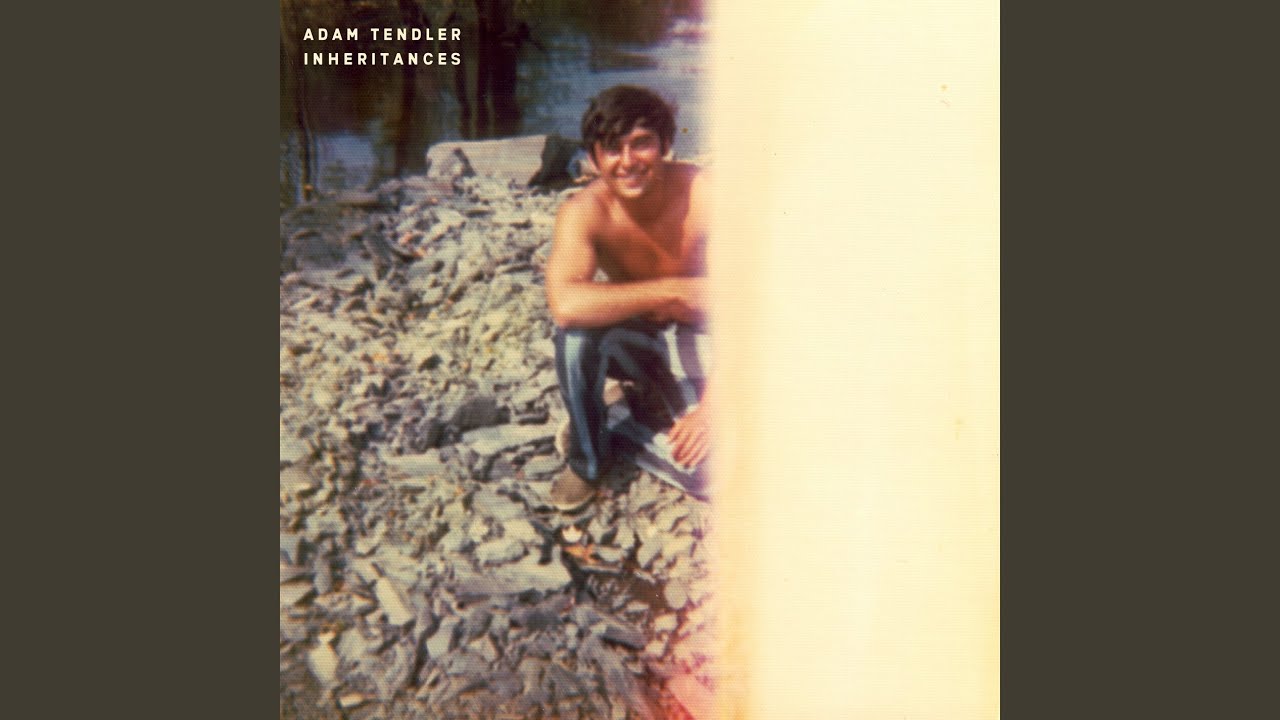 The plum tree I planted still there