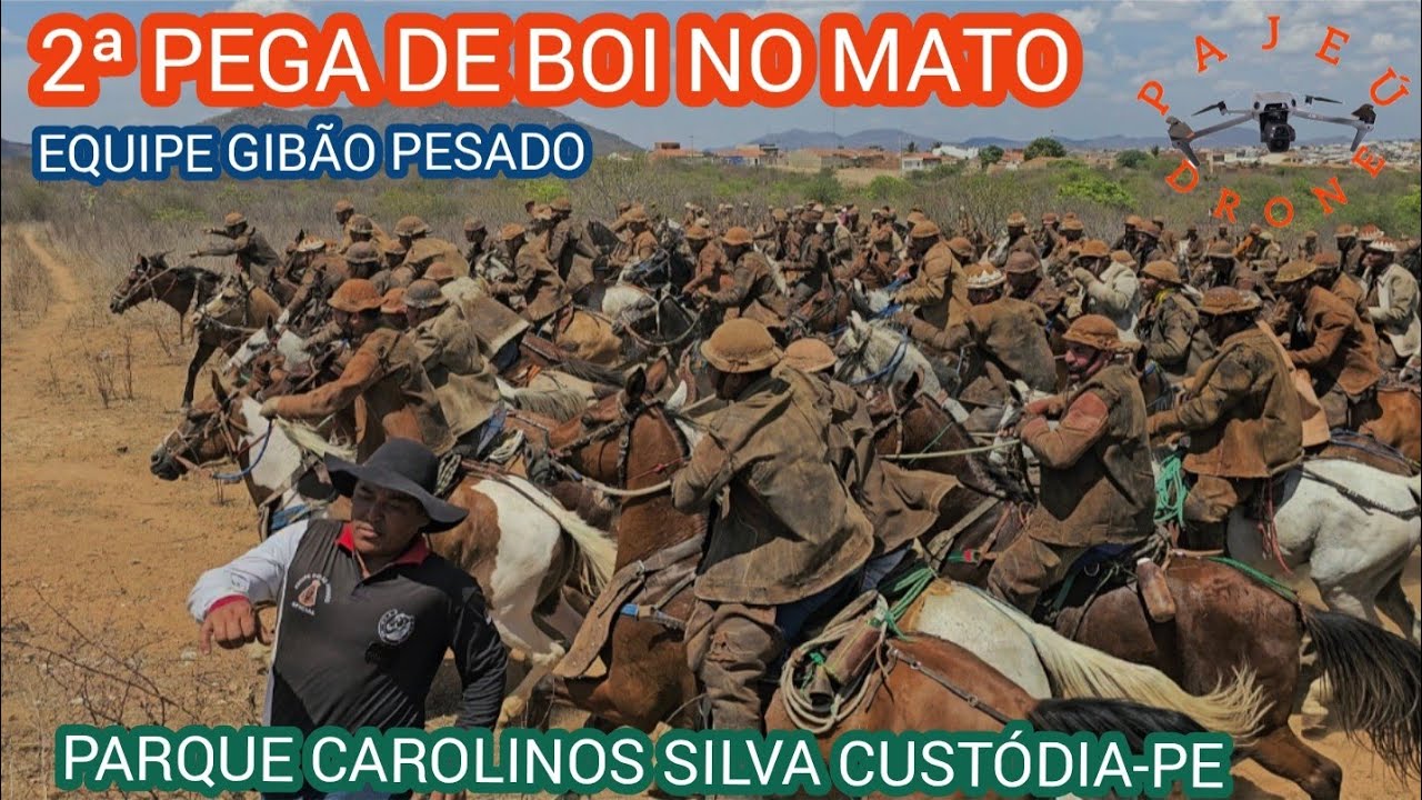 (DRONE)2ª PEGA DE BOI NO MATO EQUIPE GIBÃO PESADO PARQUE CAROLINOS SILVA CUSTÓDIA-PE 