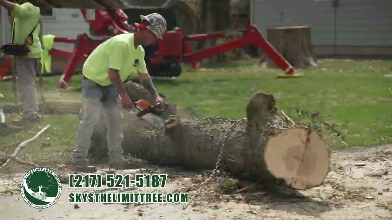Skys the Limit Tree Service  |  :30 Commercial Ad 2023