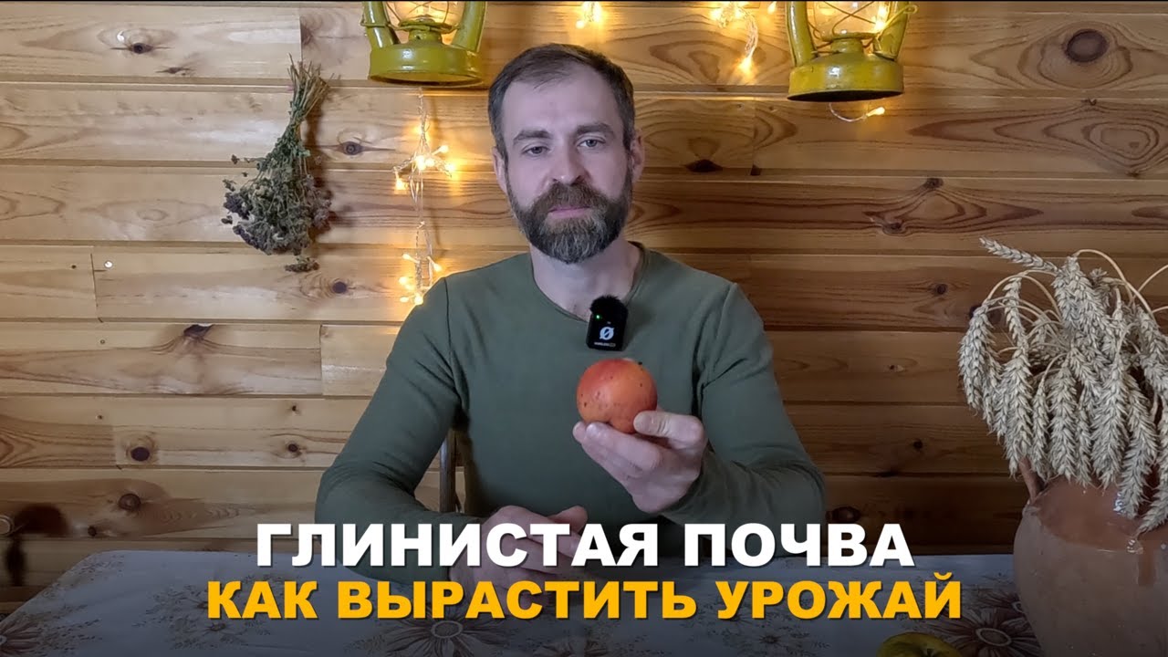 НА УЧАСТКЕ ГЛИНИСТАЯ ПОЧВА? Как улучшить структуру почвы, что и как посадить на глинистой почве.