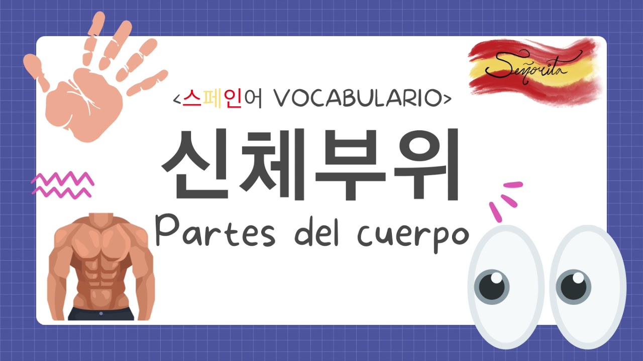 [스페인어 테마별 단어 외우기] 41개의 신체부위 단어 | Vocabulario: Partes del Cuerpo Humano