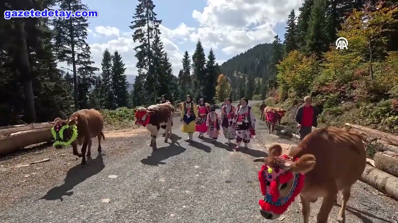 Şalpazarı&rsquo;nda yayla g&ouml;&ccedil;&uuml; renkli g&ouml;r&uuml;nt&uuml;lere sahne oldu