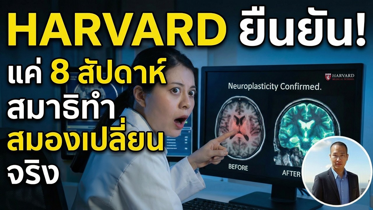Harvard ยืนยัน! MRI เห็นชัด: สมาธิ 8 สัปดาห์ เปลี่ยนสมองจริง