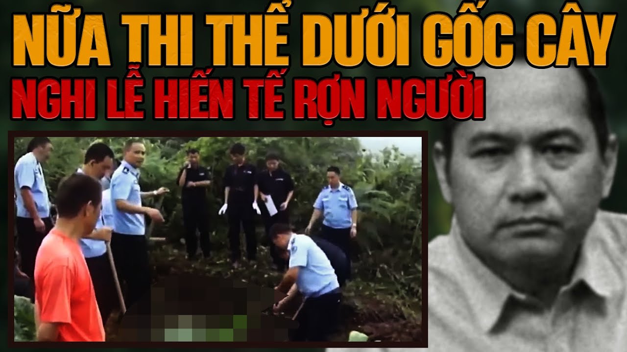 Kỳ Án Trung Quốc: Nửa Thi Thể Dưới Gốc Cây Tùng