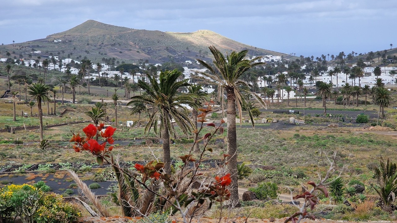 Lanzarote - Haria