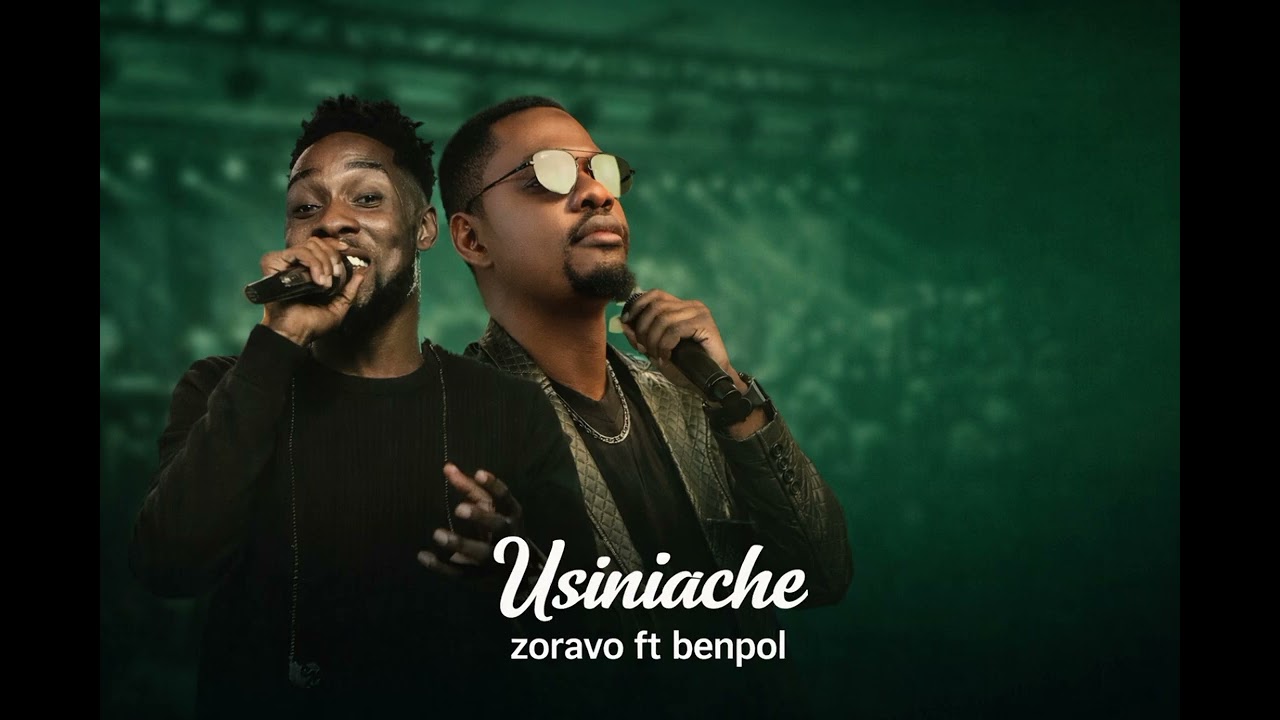 Benpol  x  Zoravo - Usiniache | Official Audio (ai)