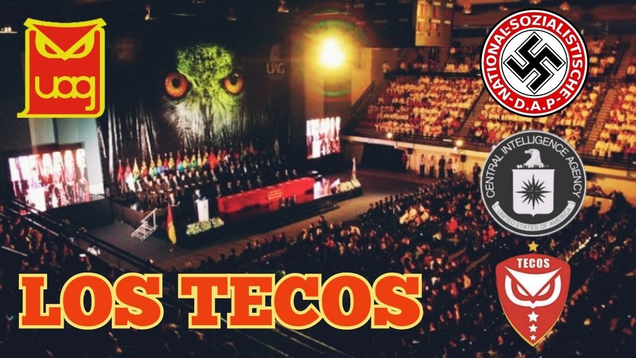 LOS TECOS